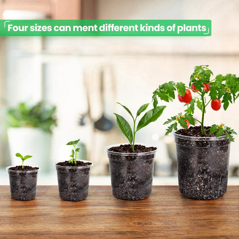 Bluepro variety pack set of clear pots for versatile propagation and planning