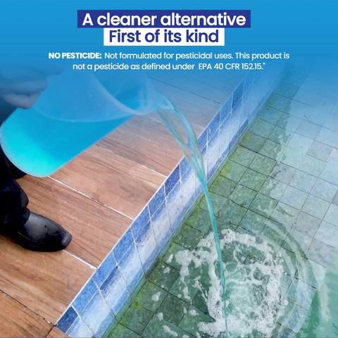 Blueray XL Copper-Silver-Zinc mineral system purifies water gently