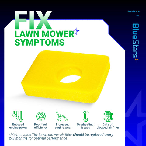 BlueStars 6-pack air filter set ensures ready replacements for routine maintenance.