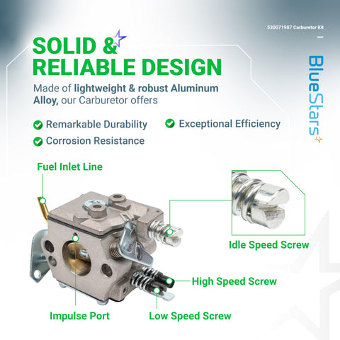 BlueStars carburetor assembly-ready kit image suggests simple upgrades