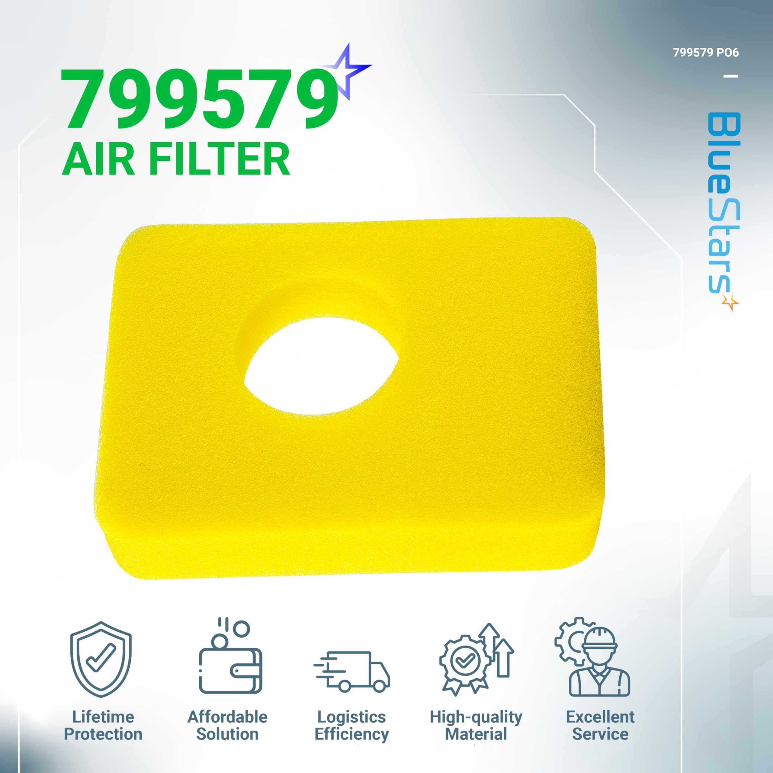 BlueStars compatibility with 09P602-09P702 engines expands replacement options.