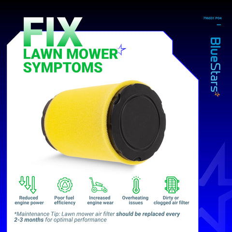BlueStars filter prevents dirt and dust from entering engine
