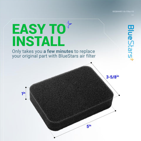 BlueStars fuel filter helps keep the fuel system clean for smoother operation.