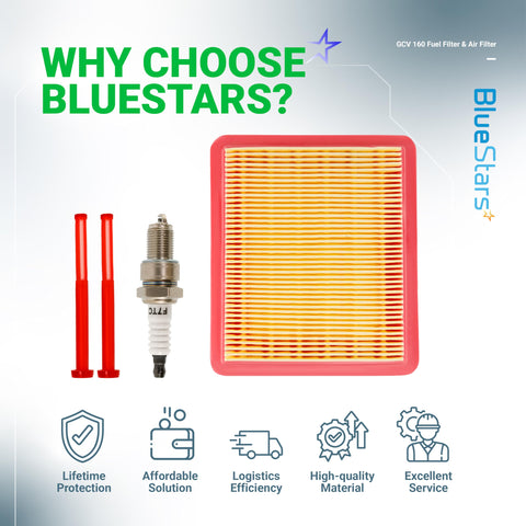 BlueStars packaging includes air filter, two fuel filters, and spark plug.