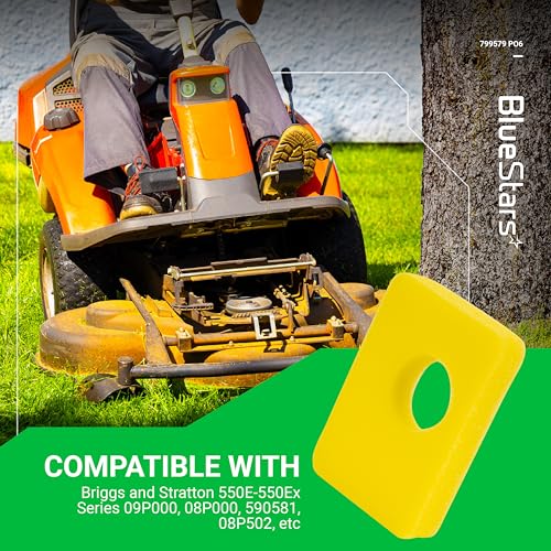 BlueStars replacement part numbers BS4248-5434-799579 help you match models.