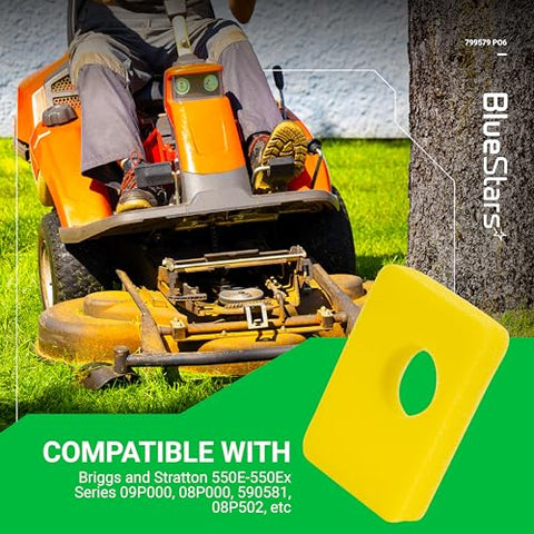 BlueStars replacement part numbers BS4248-5434-799579 help you match models.