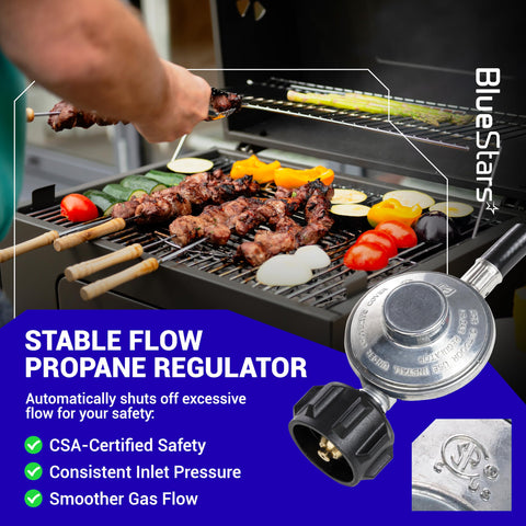 BlueStars weather-resistant hose layer withstands heat and elements.