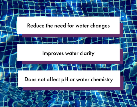 Bluewater Spa Enzymes foam-control scene shows reduced scum in spa.