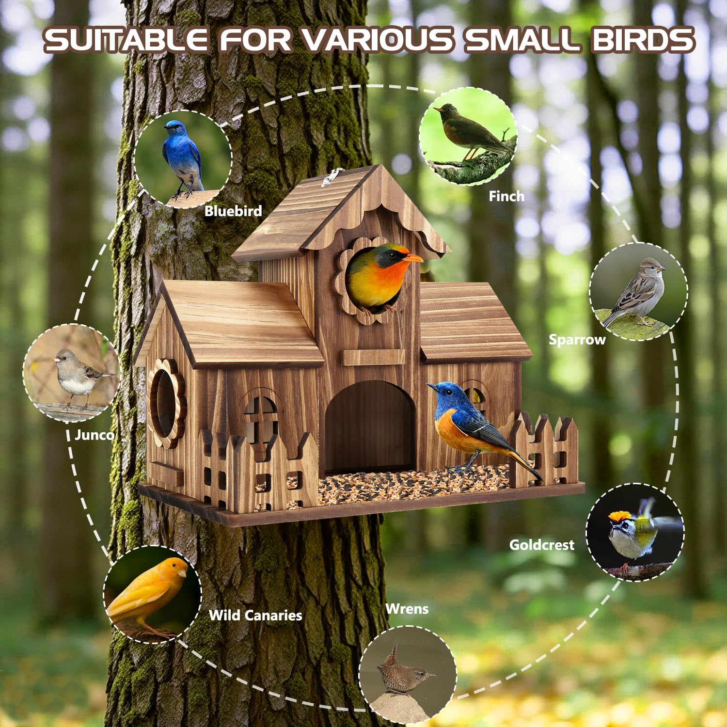 BlueYu birdhouse offers an entrance perch and accessible nesting area.