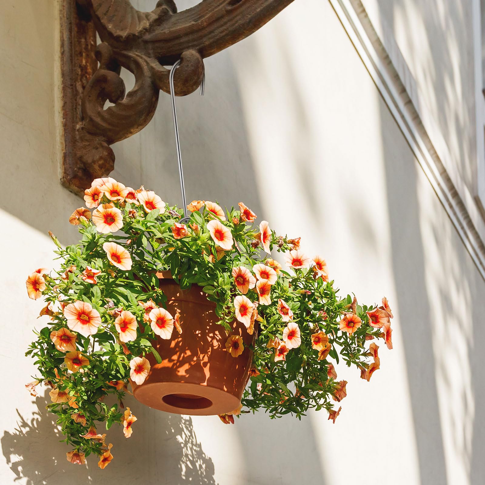 Blulu 10-pack orchid hangers simplifies gifting and space organization.
