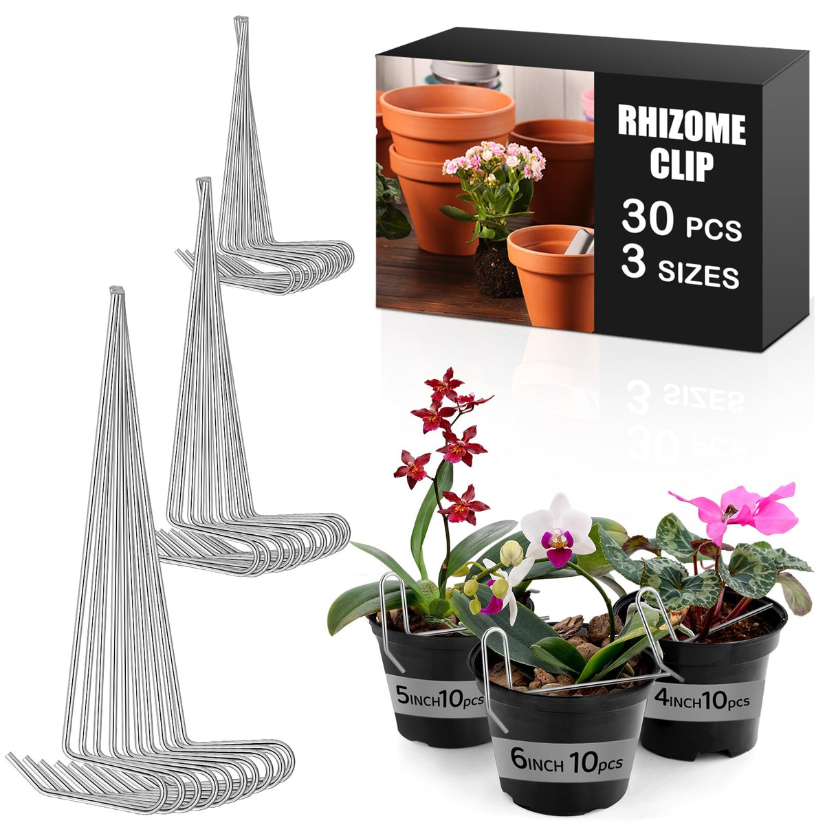 Blulu rhizome clip 4-inch securing orchid roots and stem