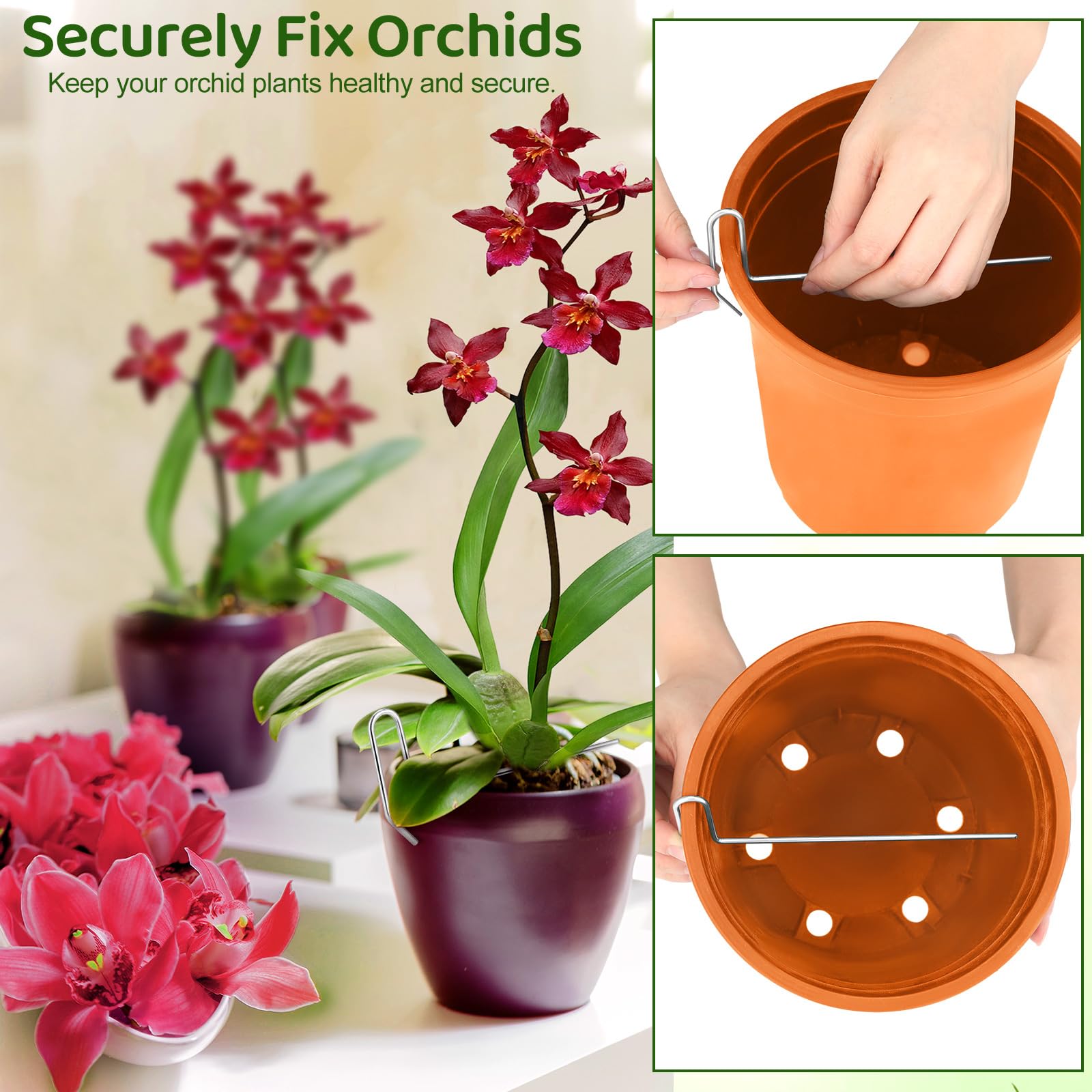 Blulu rhizome clip 6-inch for sturdy orchid support