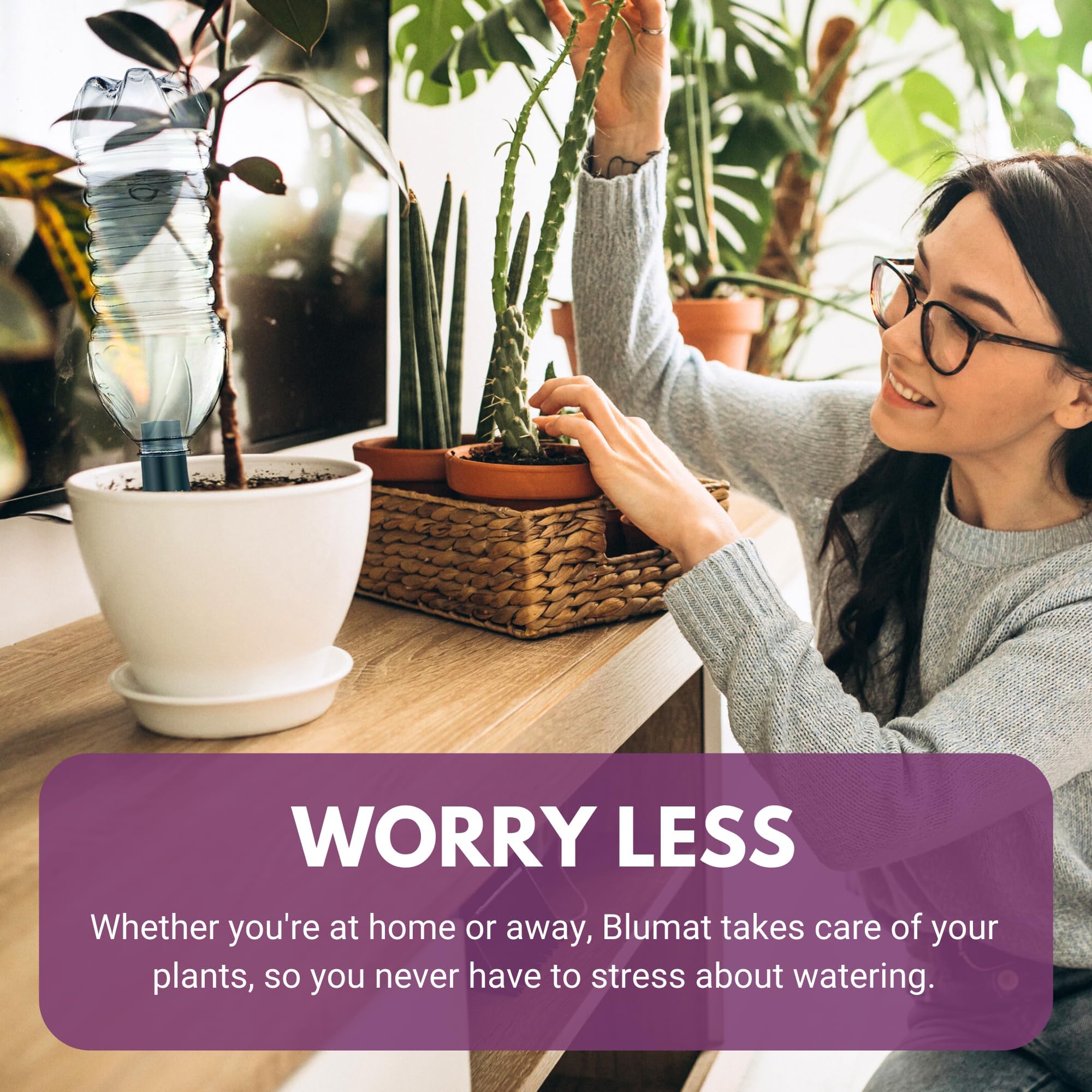 Blumat 3-pack enables multi-plant hydration and easy care