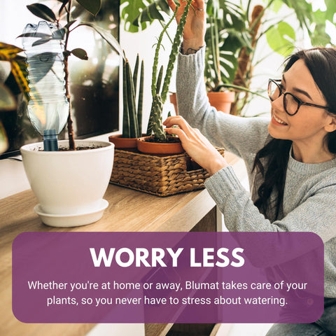 Blumat 3-pack enables multi-plant hydration and easy care