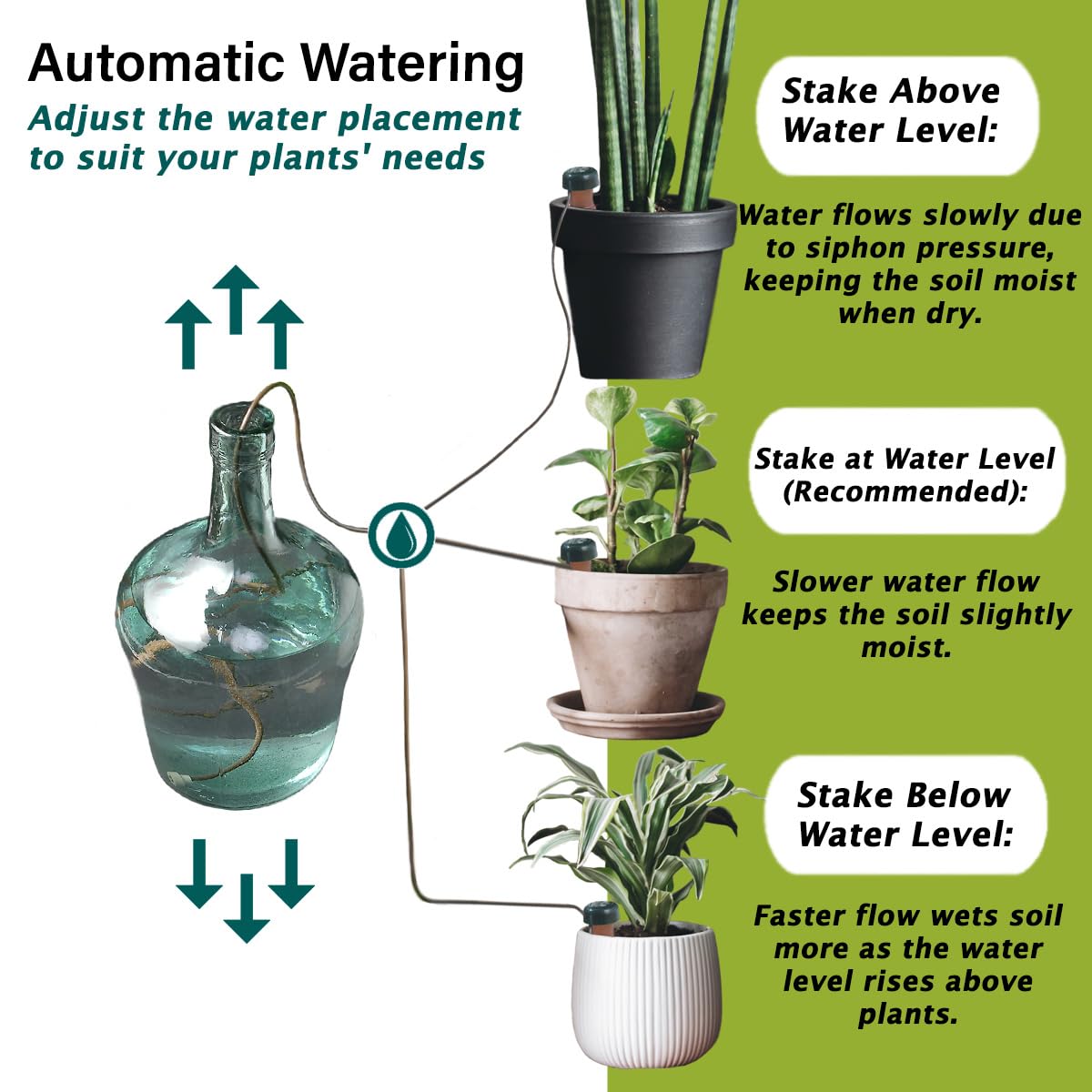 Blumat Classic 12-pack shown for watering multiple pots efficiently.