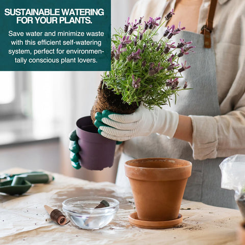 Blumat stake installed in an indoor plant pot for even moisture