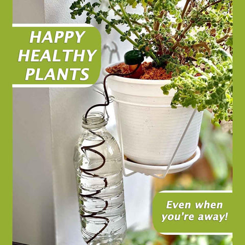 Blumat Classic stake without adapter for straightforward indoor garden setup.