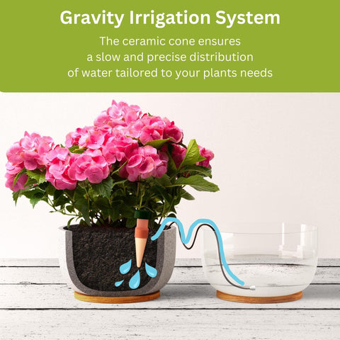 Blumat Classic siphon system demonstrates water flow from the ceramic cone.