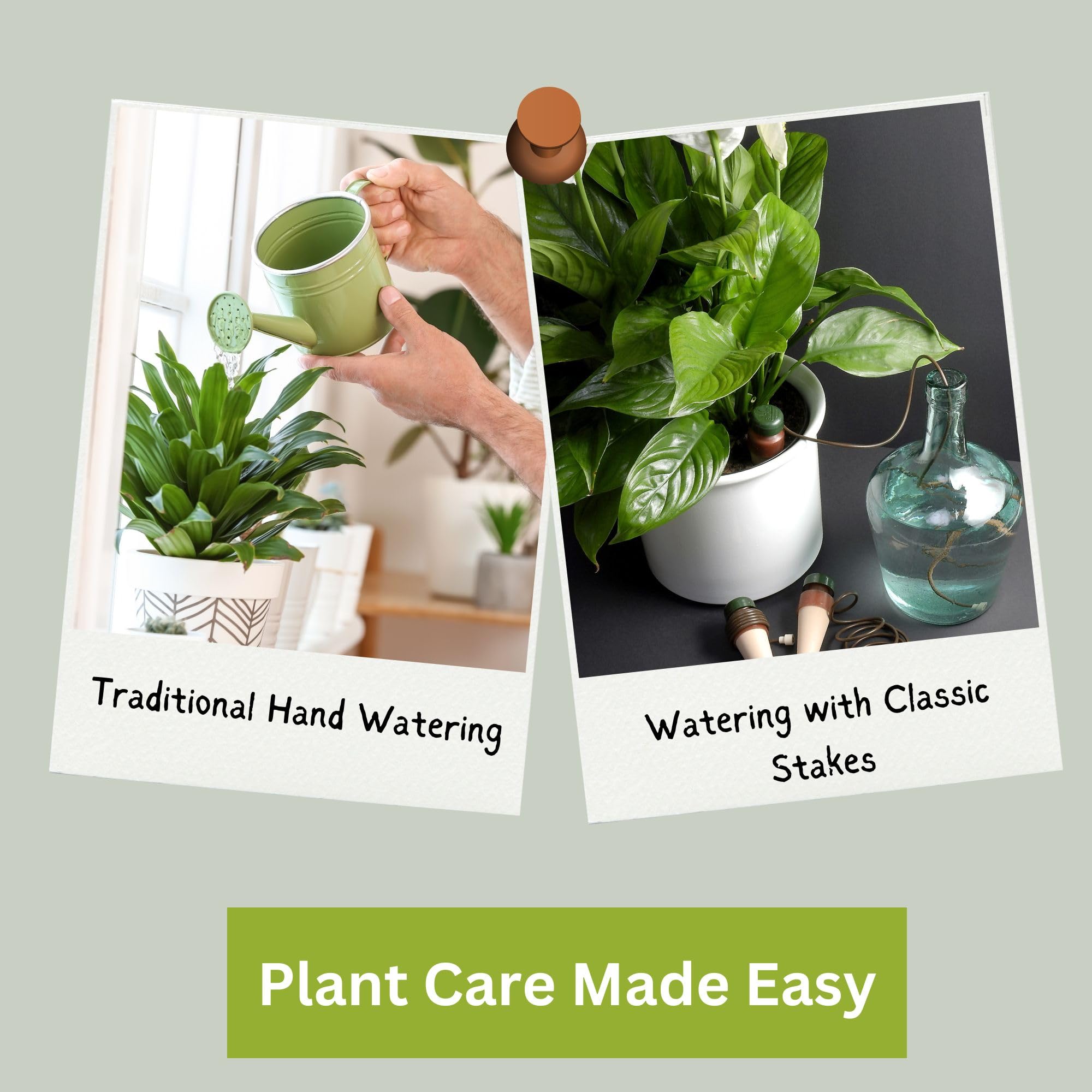 Blumat Classic timer-free watering option for busy homes