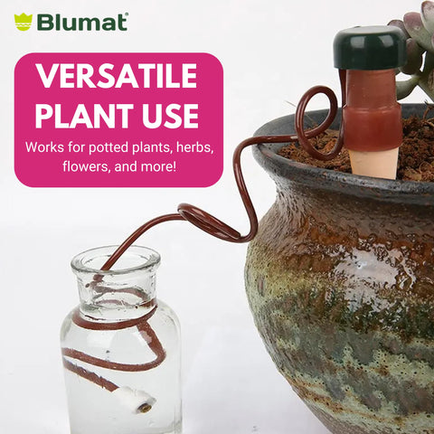 Blumat Classic XL plant watering system workflow showing seamless integration with pots.
