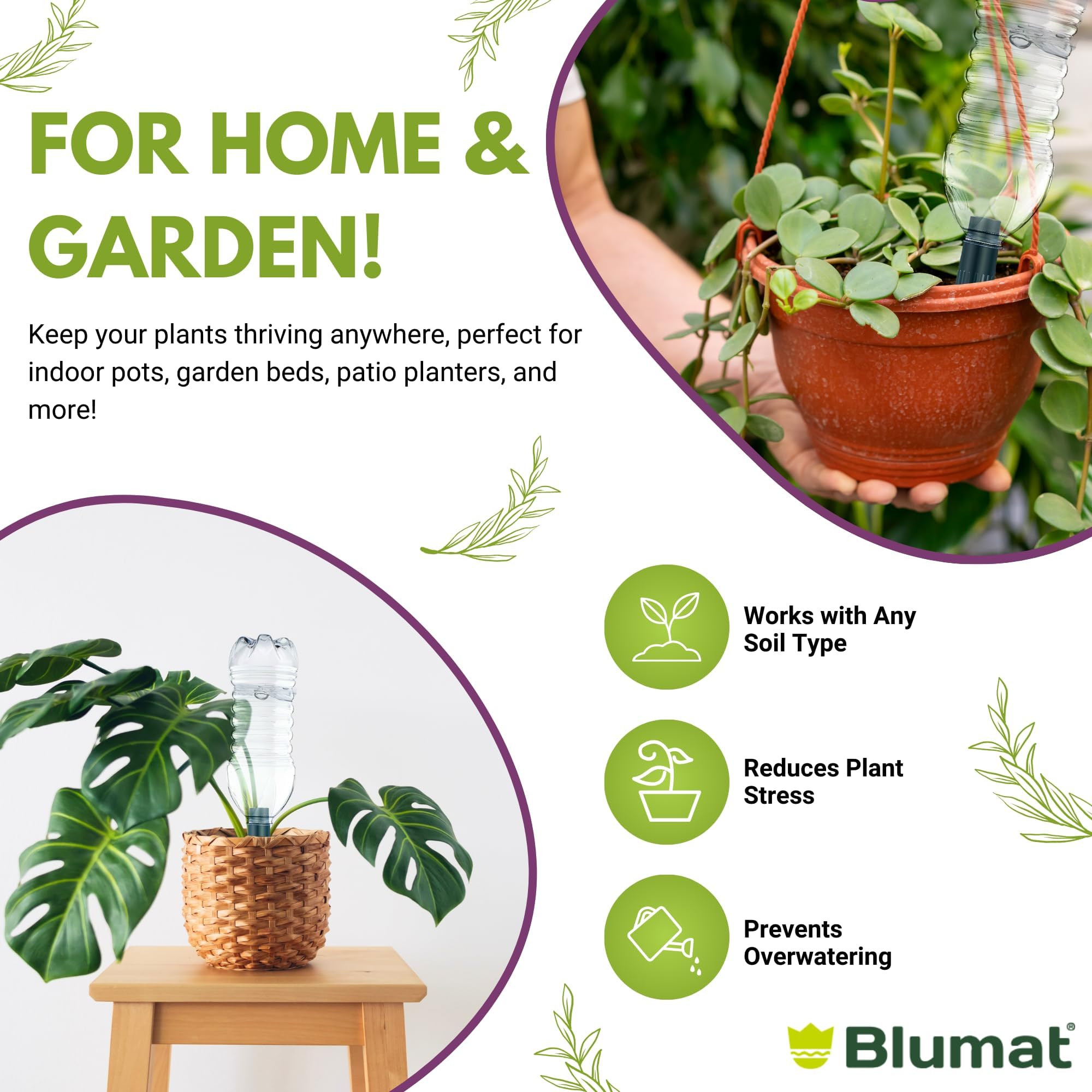 Blumat system for indoor plants on balcony gardens maintains hydration