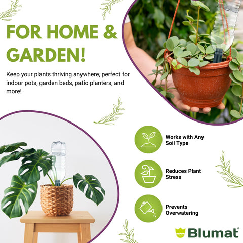 Blumat system for indoor plants on balcony gardens maintains hydration