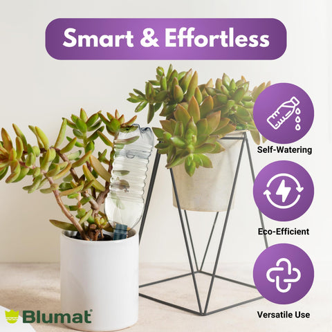 Blumat plant support stakes provide structural help and steady moisture delivery