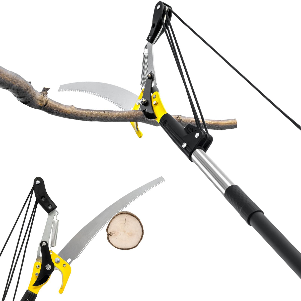 BlumeTrec 10.5ft pole saw reaches high branches for pruning.