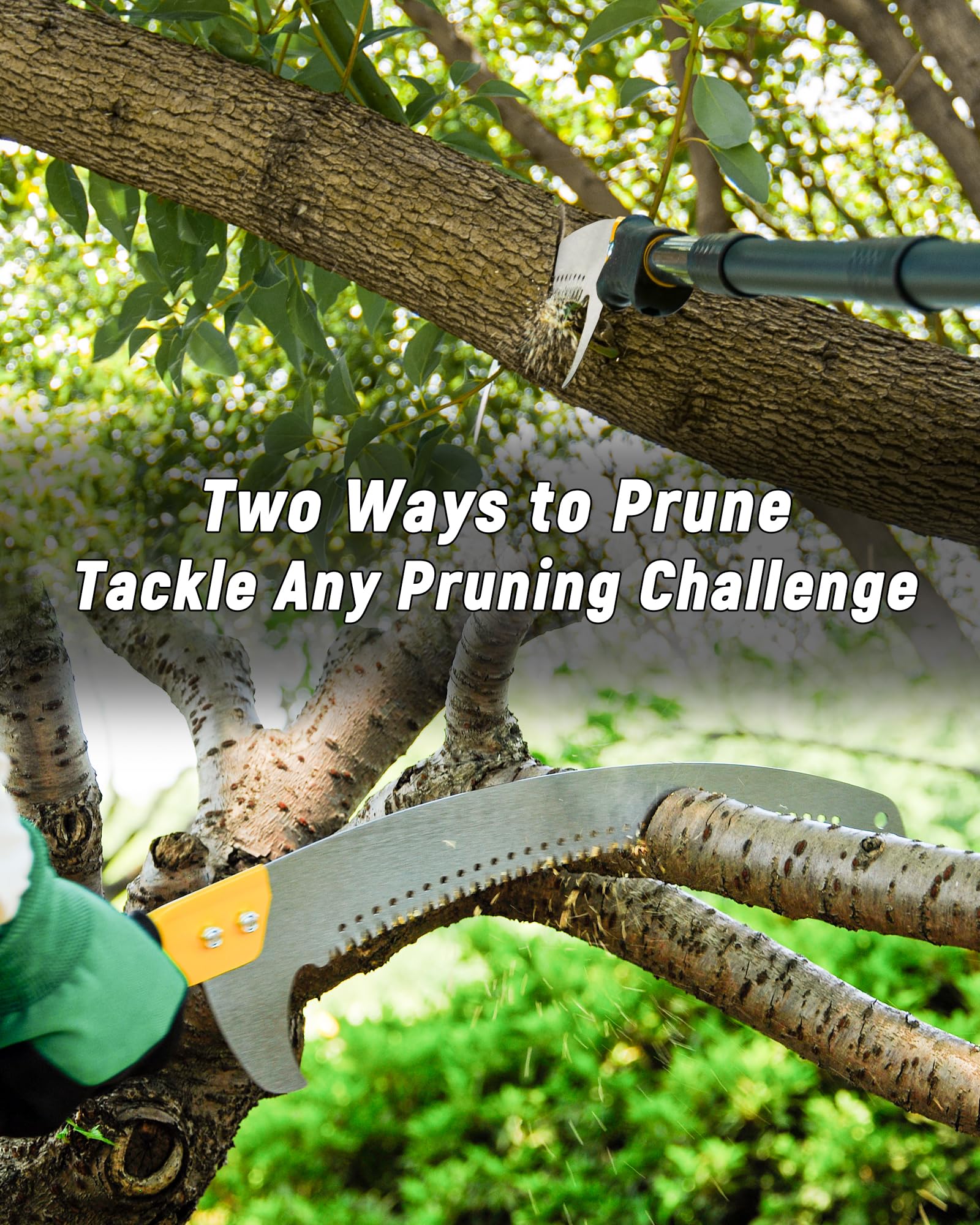 BlumeTrec adjustable-length setup for close or tall pruning.