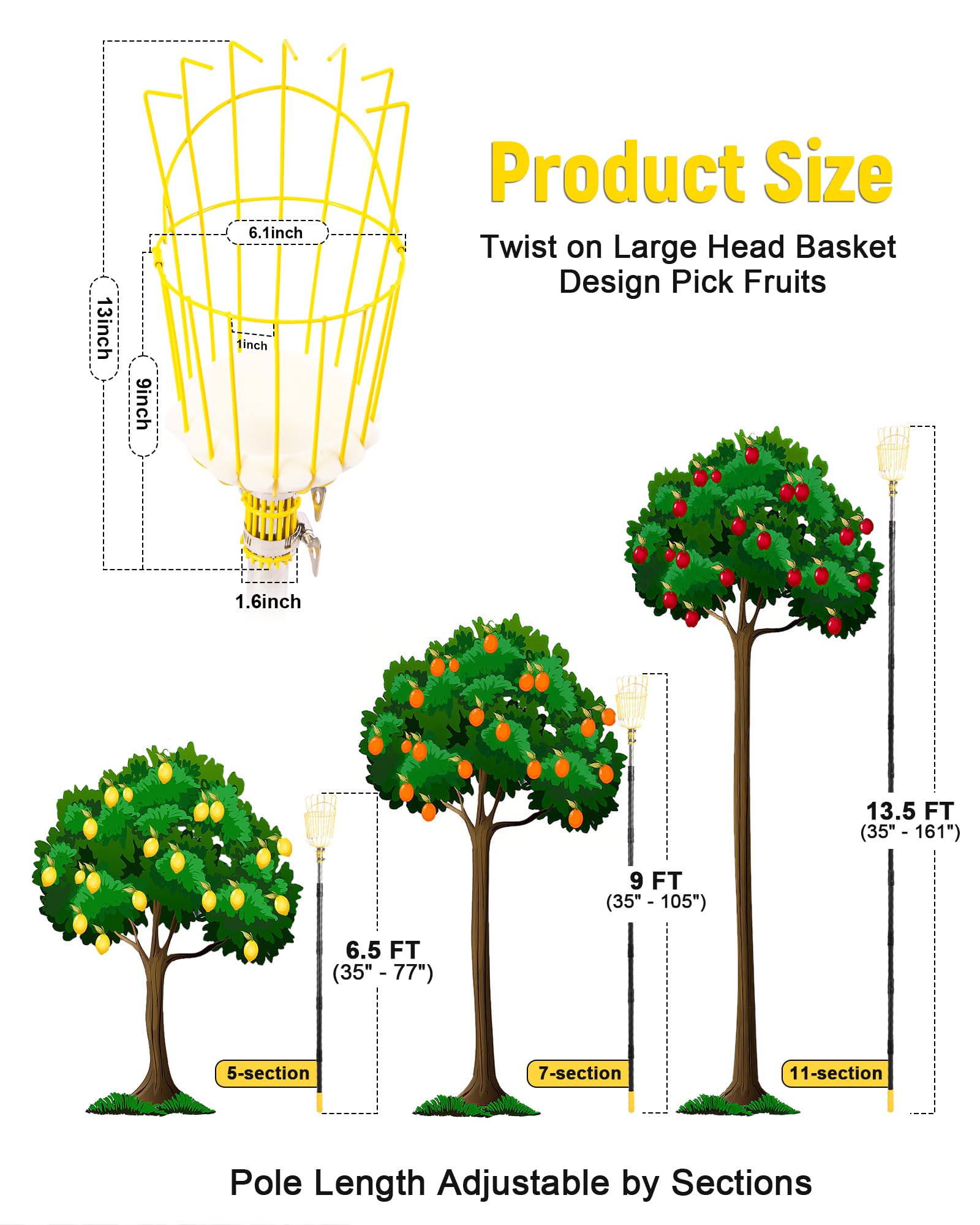BlumeTrec adjustable-pole-assembly demonstrates easy height configuration for tall branches.