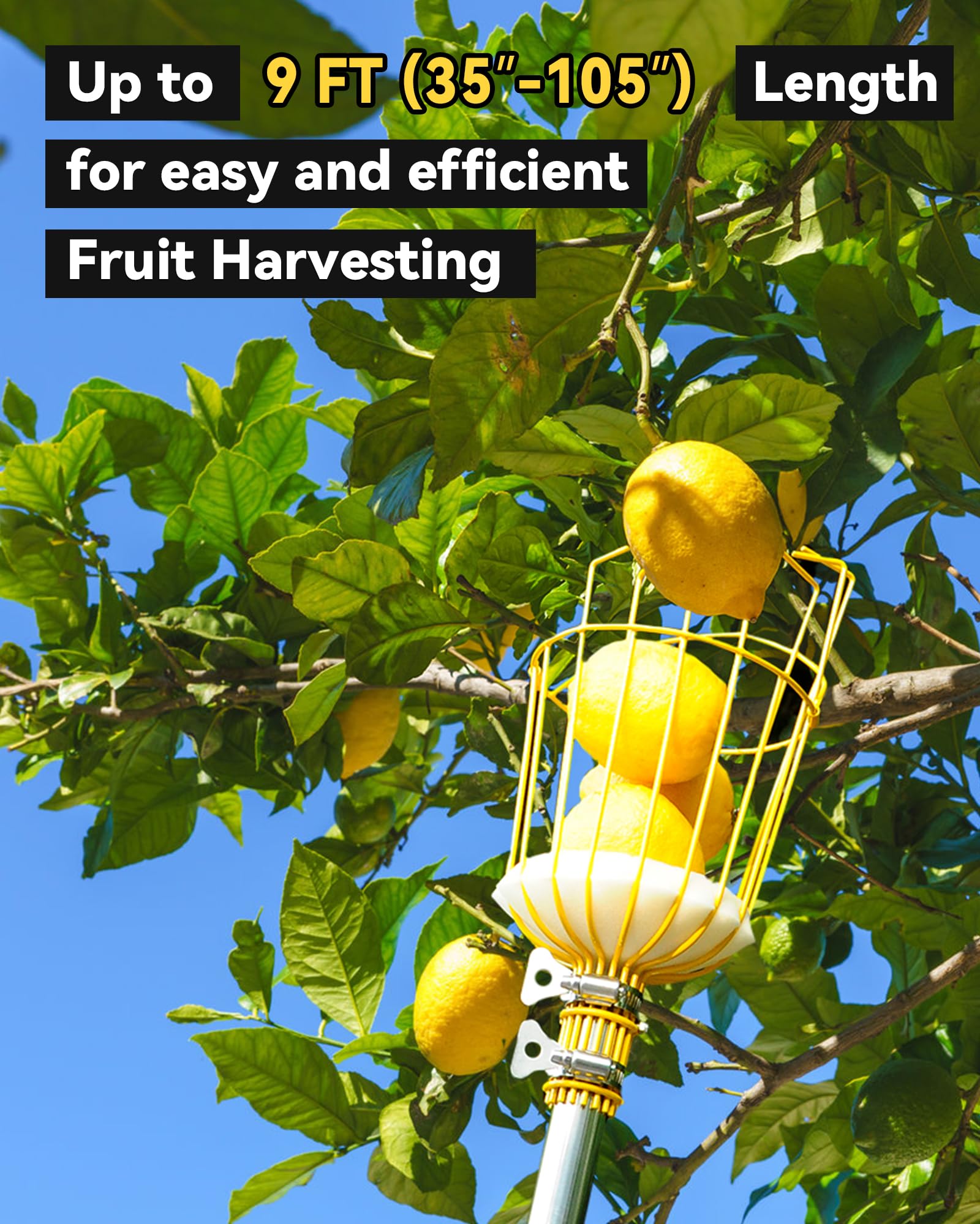 BlumeTrec anti-pull-out screw keeps the basket firmly attached during use.