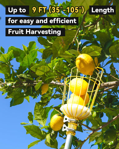 BlumeTrec anti-pull-out screw keeps the basket firmly attached during use.