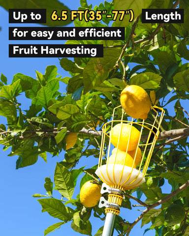BlumeTrec stainless steel basket resists rust for durable seasons