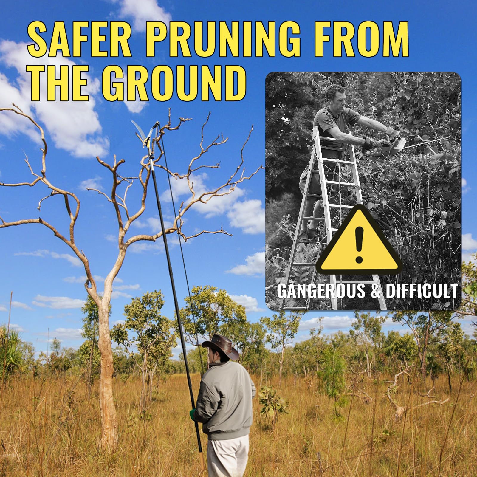 BlumeTrec high reach pruning for palm and shrubs.
