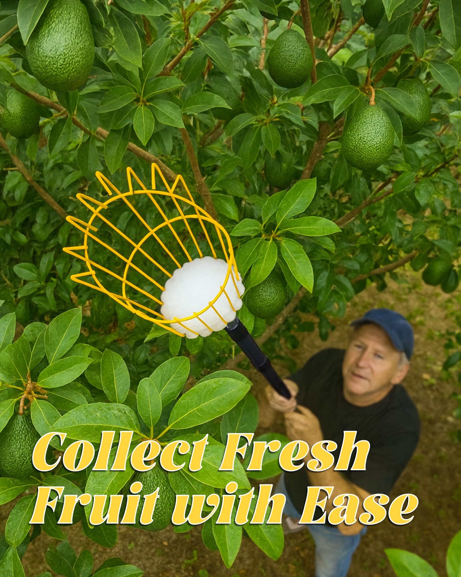 BlumeTrec stainless steel basket resists rust while carrying fruit securely.