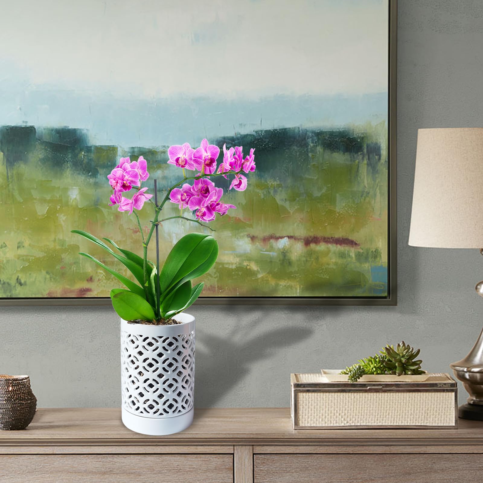Blumiger Orchid Pot 4inch sturdy packaging designed to protect during shipping.