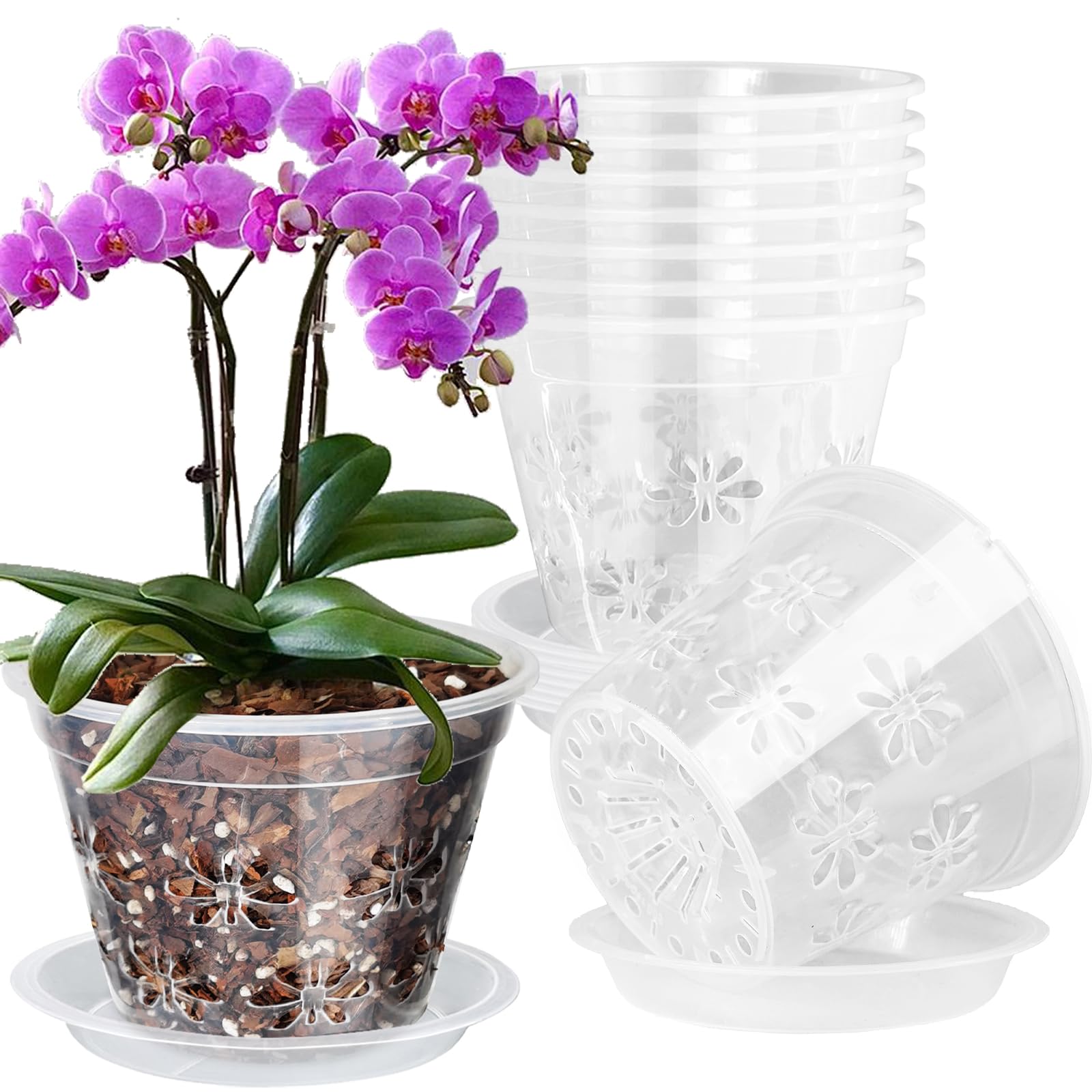 Blumiger 8-inch orchid pot top view shows clear container for monitoring root growth