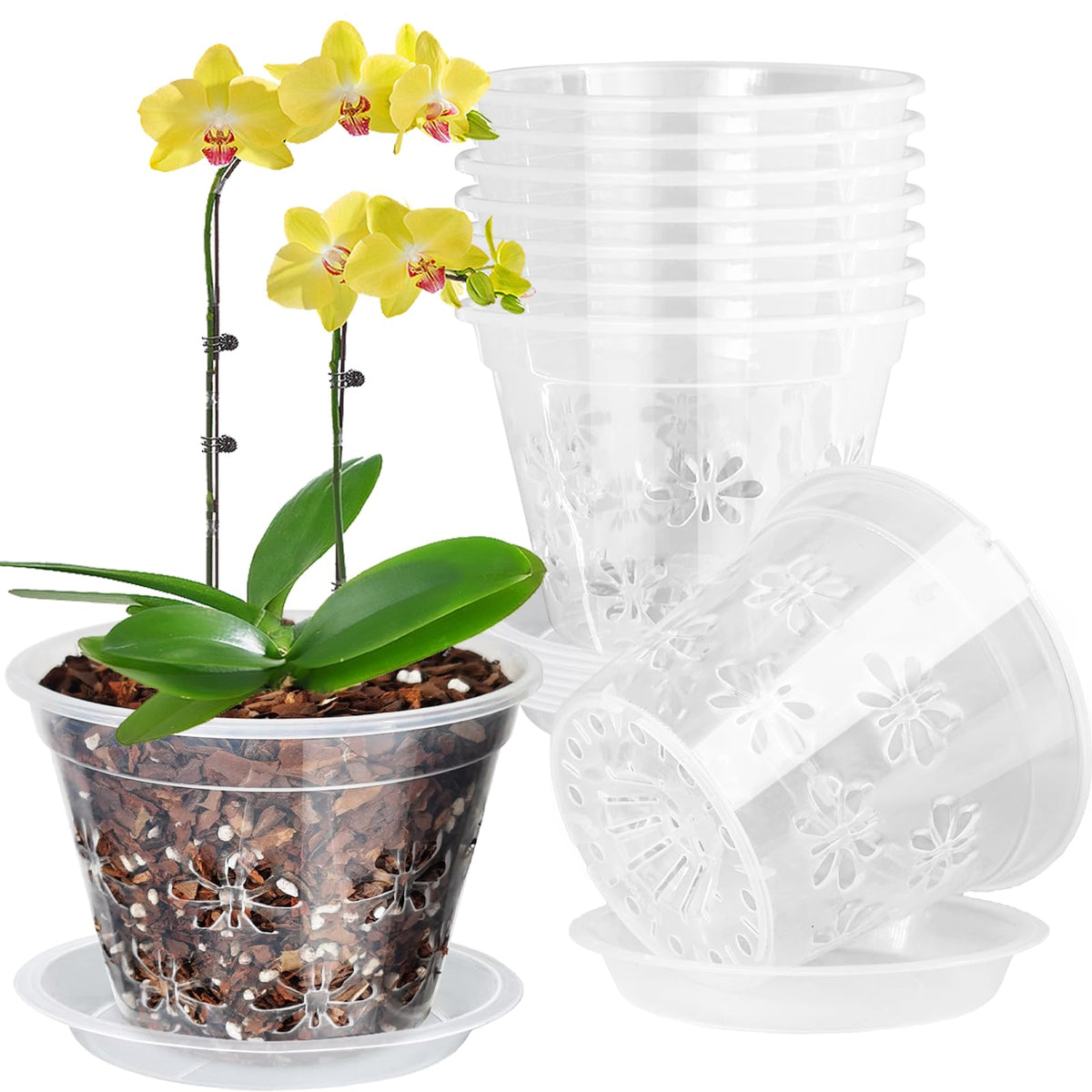 Blumiger Orchid Pot 8-pack top view shows clear design for root inspection
