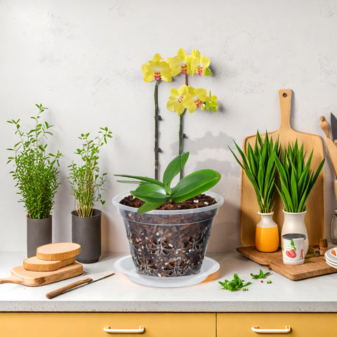 Blumiger Orchid Pot 8-pack clear plastic aids easier root monitoring