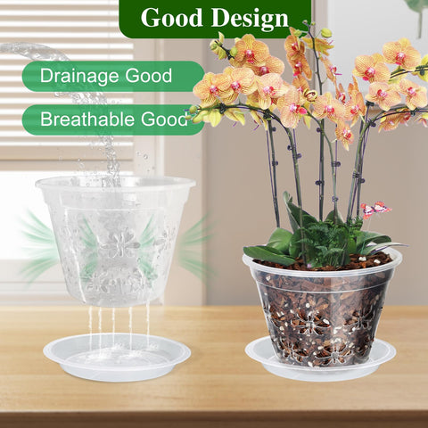 Blumiger orchid pot with attached saucer demonstrates easy water management