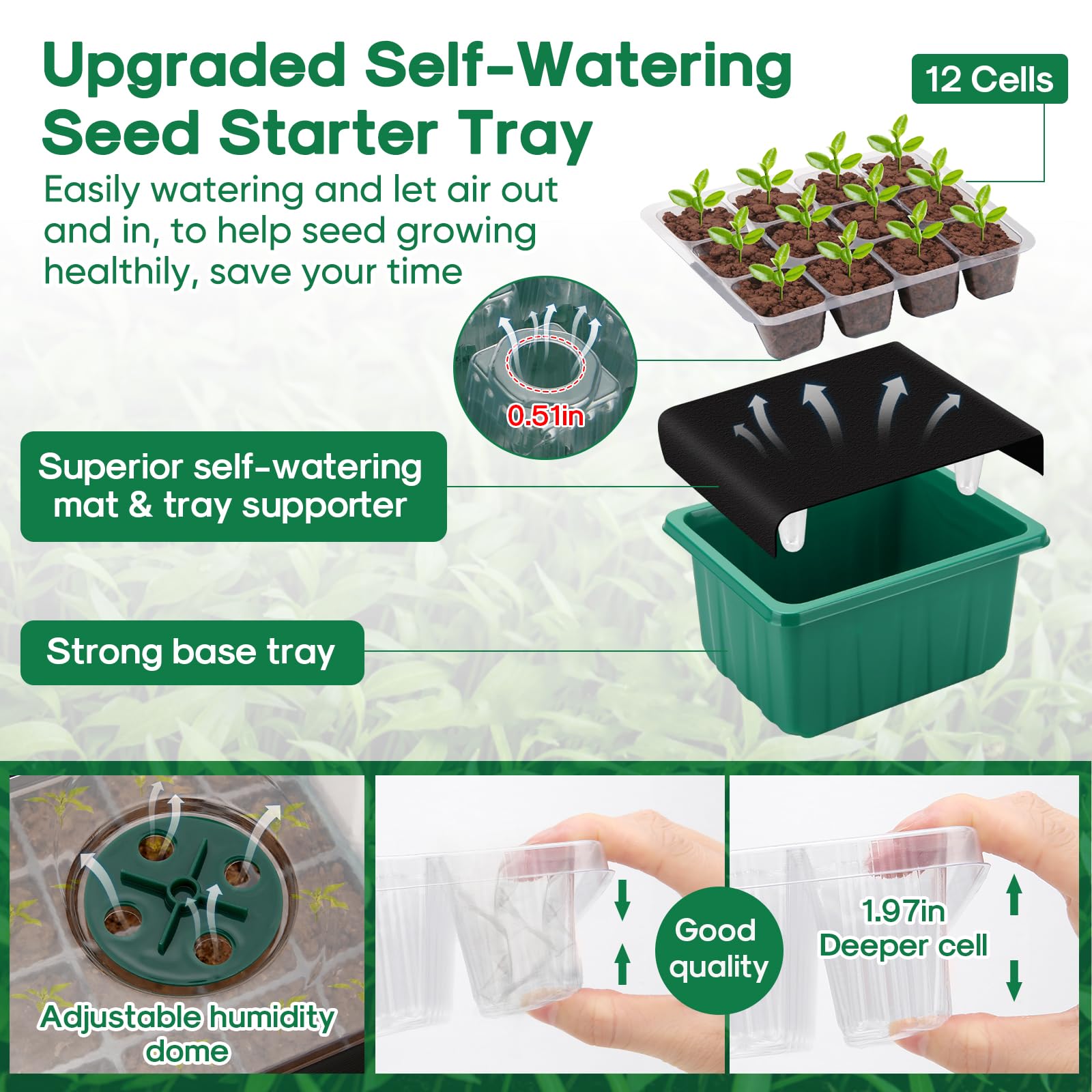 BlumWay 60-cell tray with humidity dome showing clear visibility