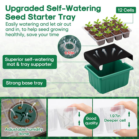 BlumWay 60-cell tray with humidity dome showing clear visibility