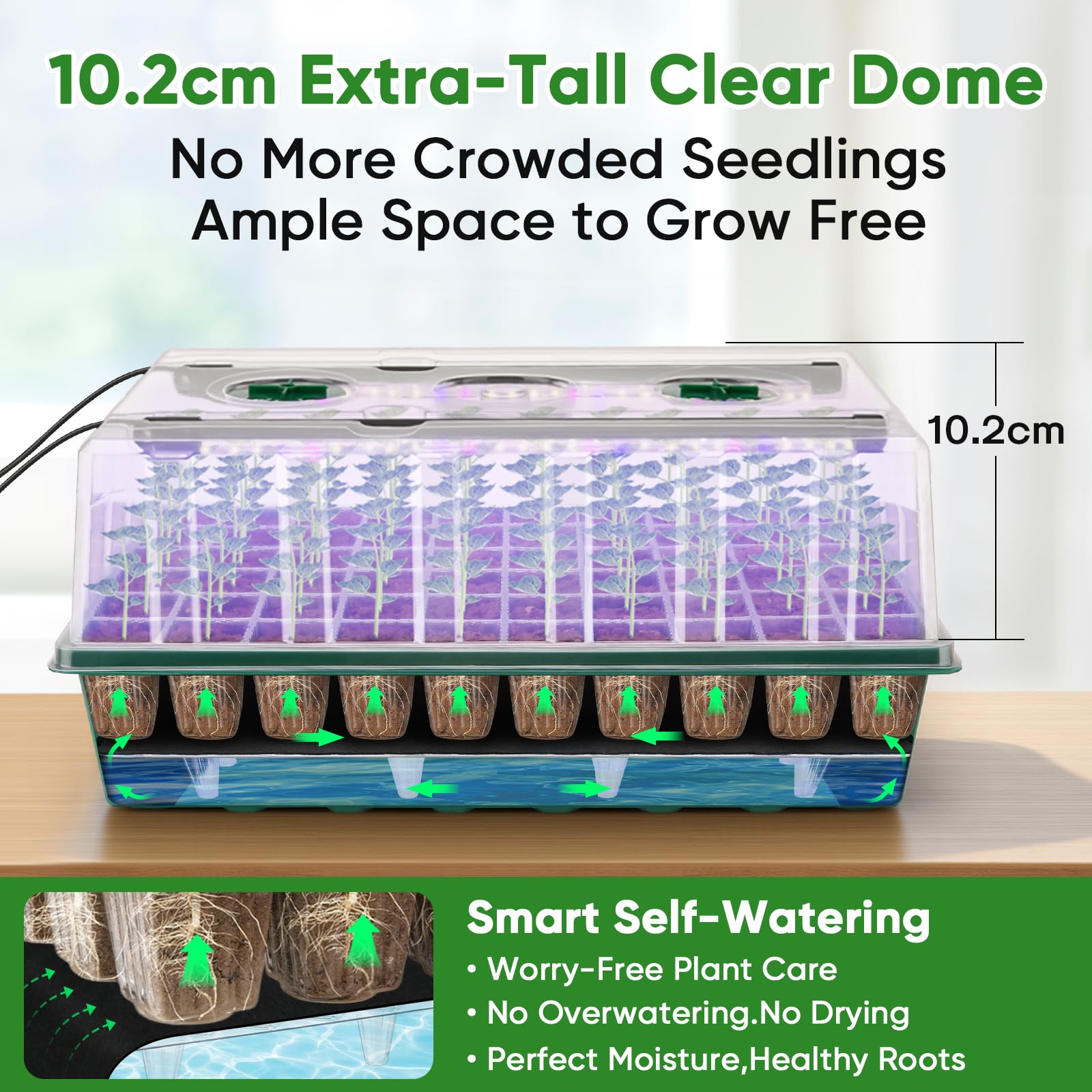 BlumWay clear ABS material ensures durability and easy soil inspection.