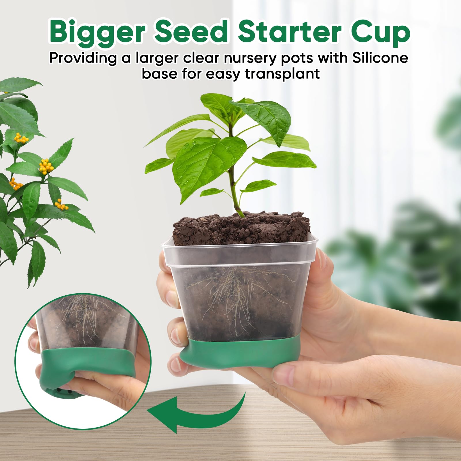 BlumWay clear nursery pots with silicone base enable easy transplanting and soil visibility.