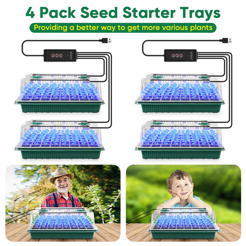 BlumWay clear plastic tray lets you observe soil and roots