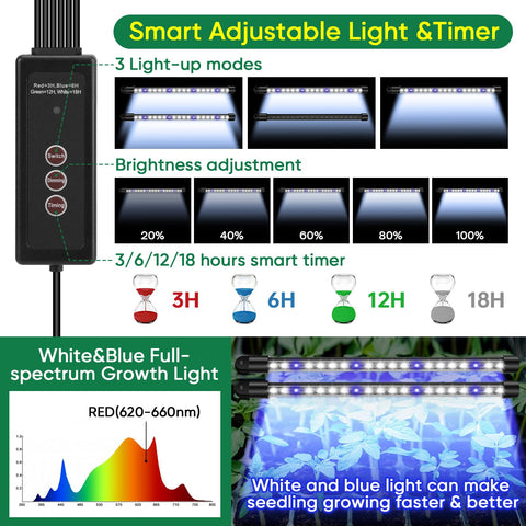BlumWay grow light with 360° spectrum ensures bright, uniform illumination.