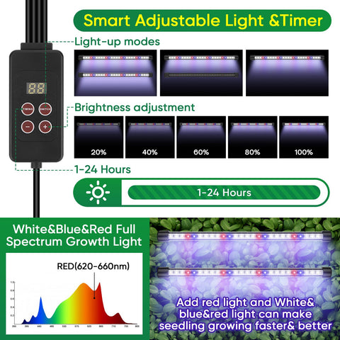 Clear humidity dome lets you monitor moisture and soil