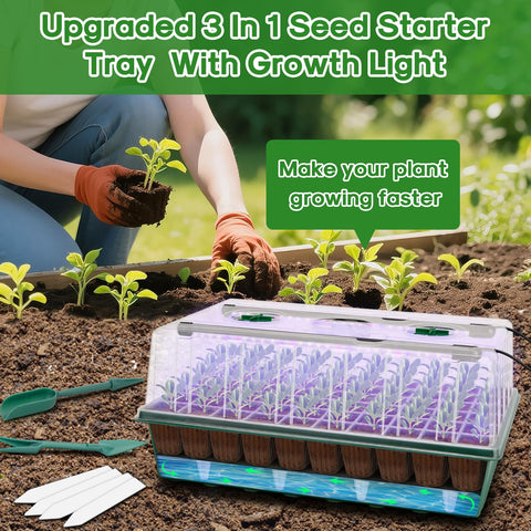 BlumWay indoor garden with seeds demonstrates family-friendly planting at home.