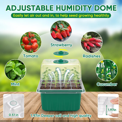 BlumWay indoor gardening kit in a compact setup for small spaces