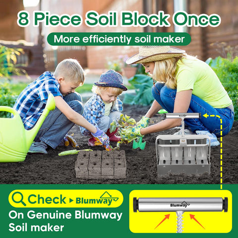 BlumWay seed blocks in soil illustrate easy extraction.